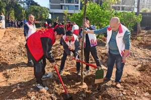 共筑绿美生态，注协在行动——广东省多地注协开展植树共建活动